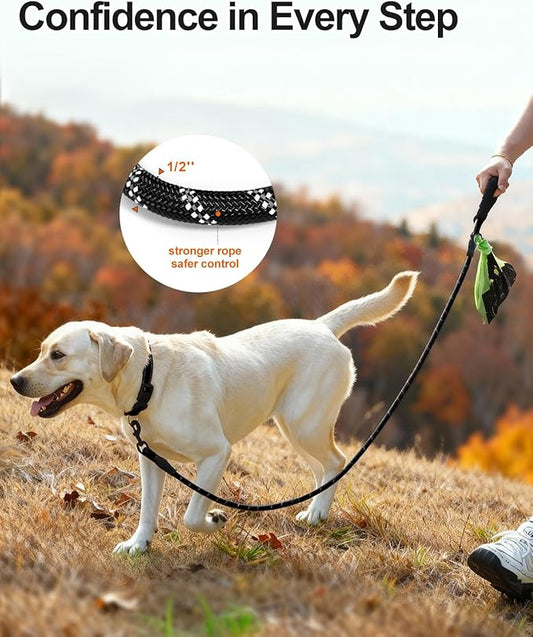Joytale Dog Leash for Large Dogs, Heavy Duty Nylon Leashes with Comfortable Padded Handle and Highly Reflective Threads, Ideal for Walking and Training, Black, 6'×1/2''