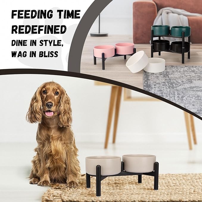 Raised Ceramic Dog Bowl Set - Elevated Double Dishes with Stainless Steel Stand - Food and Water Bowls for Small to Medium Dogs - Each Holds 2 Cups (28.75 fl oz) - White