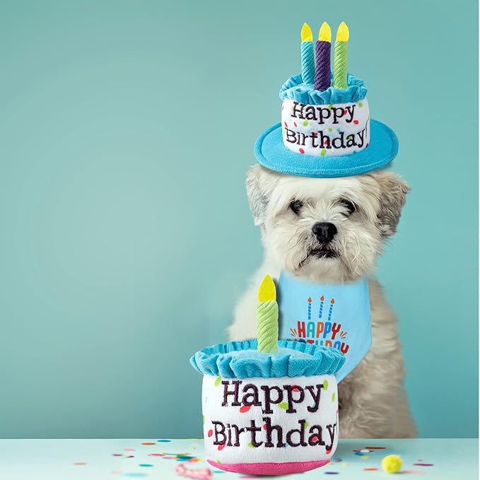 Dog Birthday Cake Toy, Happy Birthday Cake Shaped Squeaky Dog Toys for Small & Medium Dogs Funny Dogs Gifts Plush Dog Party Toys, Small, Blue