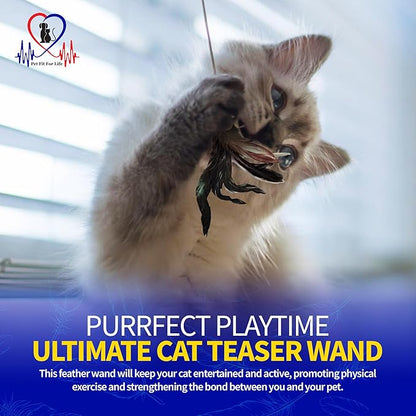Pet Fit For Life Cat Feather Wand Toys – Interactive Cat Wand Toy for Indoor Pets | 2 Feather Attachments | Promotes Animal Health & Fitness, Made w/ Soft & Durable Materials | Gift (Brown)