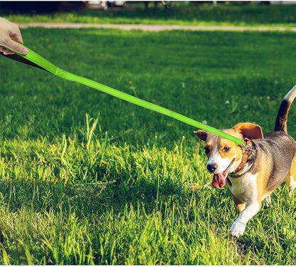 FunTags 4FT Reflective Dog Leash with Soft Padded Handle for Training,Walking Lead for Medium & Small Dogs,3/4 Inch Wide,Green