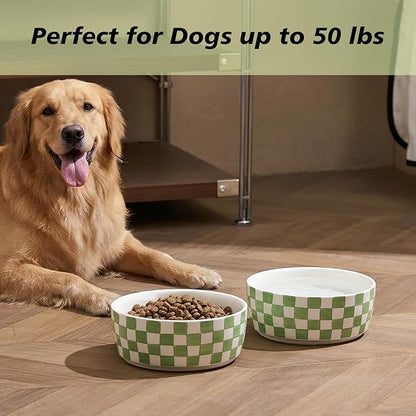 6.4 inch Ceramic Hand Painted Basic Dog Bowl Set of 2 with Anti-Skid Rubber Base, Food and Water Bowls for Small Pets Green