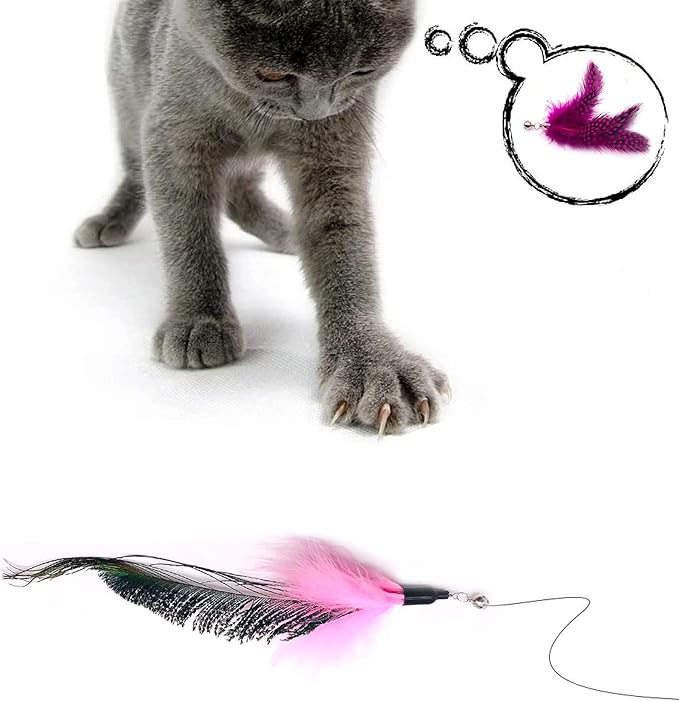 12pcs Cat Feather Toy Replacement for Wand Kitten Toys Interactive Training Bell Inside Playing Gift for Chasing Jumping Exercise Refill Feathers Toy (Pink+Rosepink)
