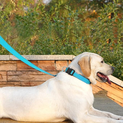 Dog Leash 6 FT Padded Handle Nylon Reflective Dogs Leashes for Medium Dogs Sky Blue