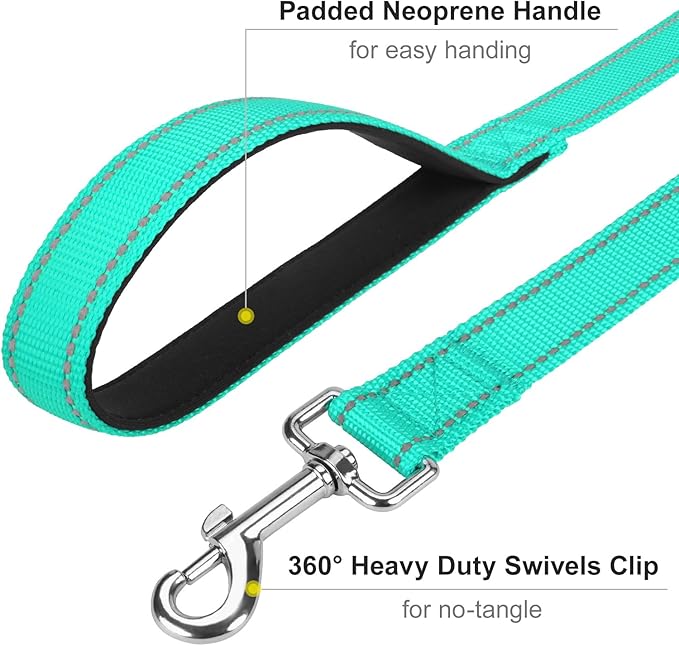 Reflective Dog Leash 4ft Soft Padded Handle Nylon Lead for Small & Medium Dogs, Durable Walking Training Leash for Night Safety (Turquoise,1Inch Wide)