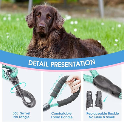 BAAPET 2/4/5/6 FT Dog Leash with Comfortable Padded Handle and Highly Reflective Threads for Small Medium and Large Dogs (5FT-1/2'', Turquoise)