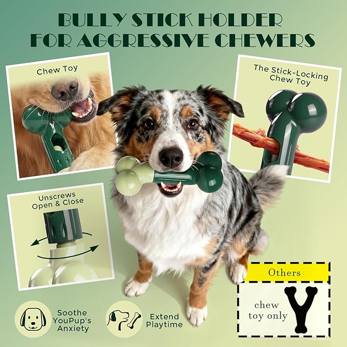 Apasiri Bully Stick Holder for Aggressive Chewers: Indestructible Dog Toy Prevents Choking No More Swallowed Ends, Bacon Flavored Nylon Tough Chew Toy to Keep Them Busy Medium/Large Dogs, Green