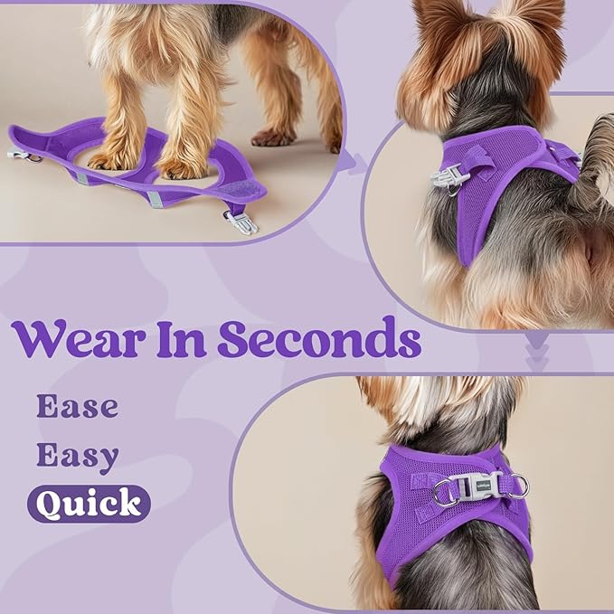 rabbitgoo Small Dog Harness, Step-in Soft Mesh Puppy Vest with Safety Buckle, Breathable Reflective Pet Harness for Small Sized Dogs, Purple S