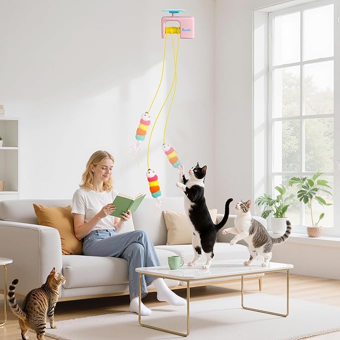Interactive Cat Toy for Indoor Cat, Automatic Door Hanging Cat Toy with Detachable Design, Kitten Toys for Indoor Cats Self Play, 3.27 * 1.69 * 2.76Inch (Pink)