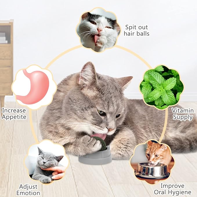 3 Pack Catnip Balls, Catnip Ball for Cats Wall, Edible Kitty Toys for Cats Lick, Safe Healthy Kitten Chew Toys, Teeth Cleaning Dental Cat Toys, Cat Wall Treats (1, Grey)