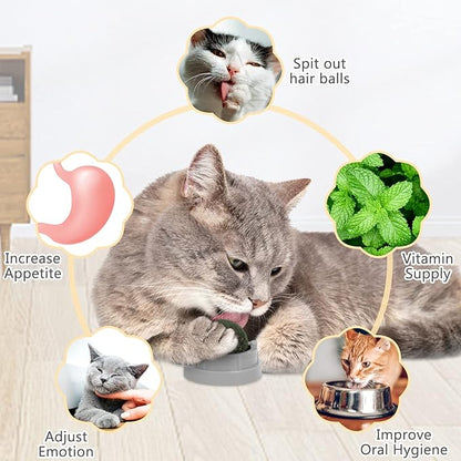 3 Pack Catnip Balls, Catnip Ball for Cats Wall, Edible Kitty Toys for Cats Lick, Safe Healthy Kitten Chew Toys, Teeth Cleaning Dental Cat Toys, Cat Wall Treats (1, Grey)
