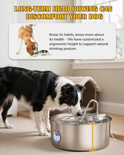Stainless Steel Dog Water Fountain – 8L/270oz Automatic Waterer with Quiet Pump for Medium/Large Dogs, Cats & Multi-Pet Homes, Visible Water Window & Easy to Clean