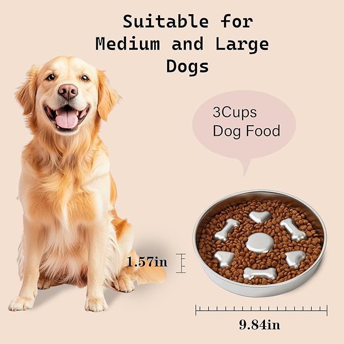 Slow Feeder Dog Bowl Stainless Steel, 3 Cups Large Capacity, Designed to Slow Down Eating, Double-Sided Design Ideal for All Dog Sizes