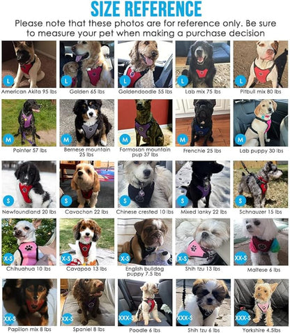 Lukovee Dog Seat Belt for Car, Adjustable Dog Car Harness for Large Medium Small Dogs, Soft Padded & Breathable Mesh Dog Seatbelt with Car Strap and Carabiner (Light Blue,XXS)