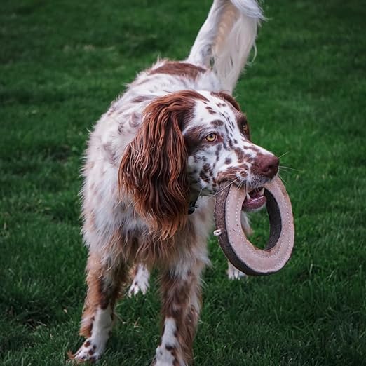 Tall Tails Ring Natural Leather Fetch Toy for Dogs