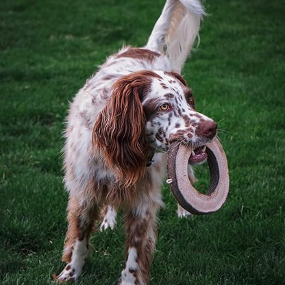 Tall Tails Ring Natural Leather Fetch Toy for Dogs
