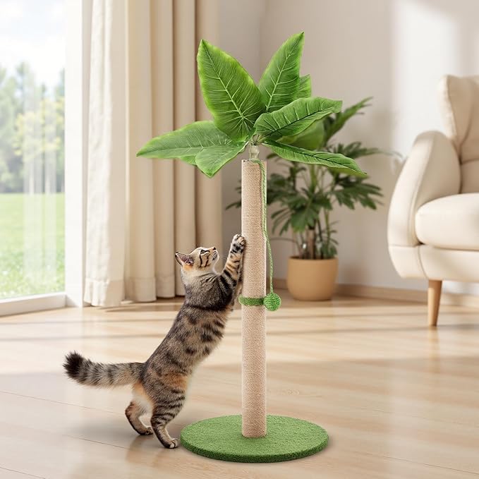 DUMOS Small 33inch Cat Scratching Post for Indoor Cats, Cat Scratcher Scratching Posts with Dangling Ball for Adult, Palm Tree Cat Scratch Post for Kittens, Green