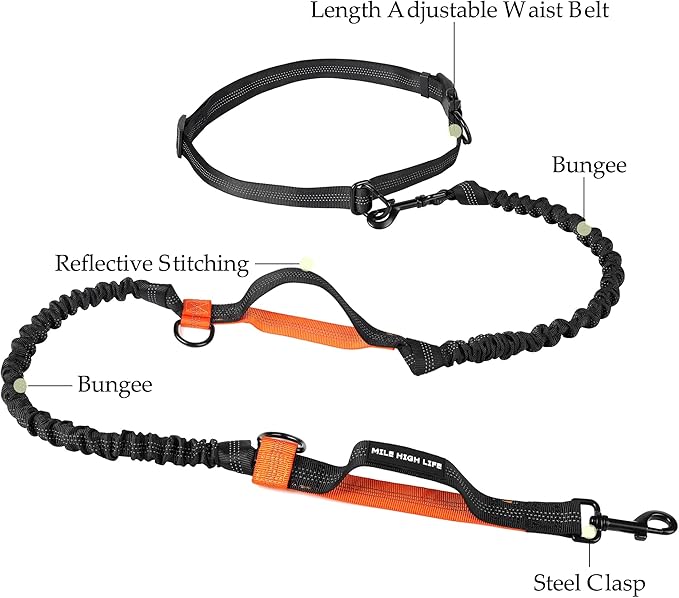 Mile High Life | Retractable Hands Free Dog 7FT Leash | Waist Running Adjustable | Reflective Dual Black Bungees | Dual Handles | Small Medium Large Dogs | (Orange)
