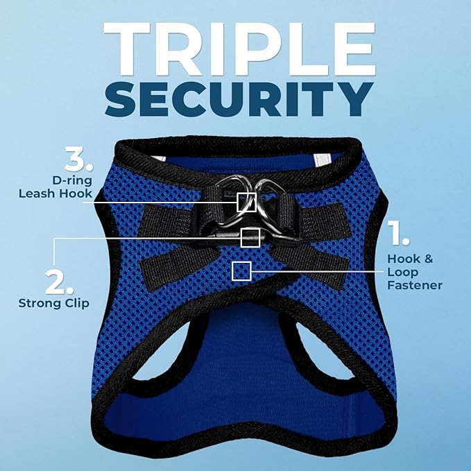 Best Pet Supplies Voyager Step-in Air Harness - All Weather Mesh, Reflective, No Pull Harness for Dogs, Cats - Secure with Hook & Loop Fastener, Buckle, Double D-Rings - Royal Blue/Black Trim, M