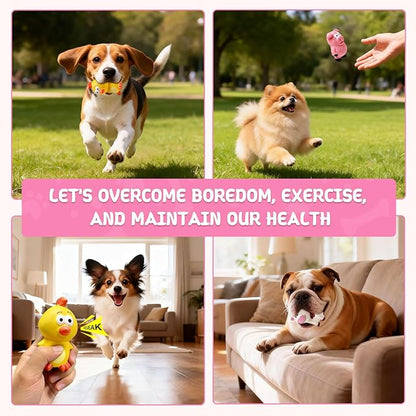 Small Squeaky Dog Toys, 3 Pack Latex Dog Chew Toy Set, Funny Animals Squeaky Balls for Interactive Fetch Play, Soft Rubber Teething Toy for Puppy Small Dogs