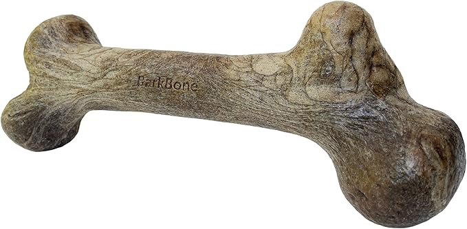 Pet Qwerks Dinosaur BarkBone - Nylon Dog Bone for Aggressive Chewers - Bacon Flavor - 6.5"