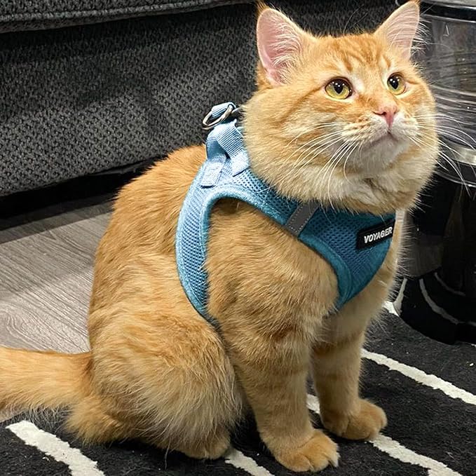 Best Pet Supplies Voyager Step-in Air Harness - All Weather Mesh, Reflective, No Pull Harness for Dogs, Cats - Secure with Hook & Loop Fastener, Buckle, Double D-Rings - Baby Blue, XXS