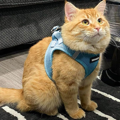 Best Pet Supplies Voyager Step-in Air Harness - All Weather Mesh, Reflective, No Pull Harness for Dogs, Cats - Secure with Hook & Loop Fastener, Buckle, Double D-Rings - Baby Blue, L