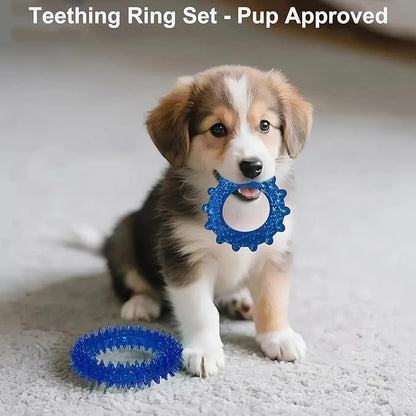 Puppy Chew Toys for Teething and Fun, 20 Pack Dog Toys for Small Puppies Bulk with Various Rubber Rings, Ropes and Balls for Interactive Play, Teeth Cleaning & Relief