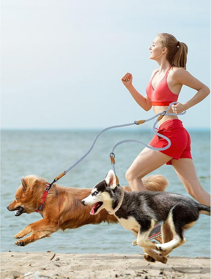 Mile High Life Dual Dog Leash - Double, Hands Free with Leather Connection - 360 Swivel, No Tangle - Blue Gray, 8FT