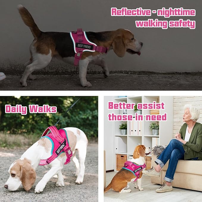 AUROTH Dog Harness and Leash Set, Soft Padded Service Dog Vest with 5.25FT Dog Leash, No Choke, Easy On Pet Vest, Adjustable Reflective No Pull Dog Harness Small Sized Dog, Easy Walking and Training