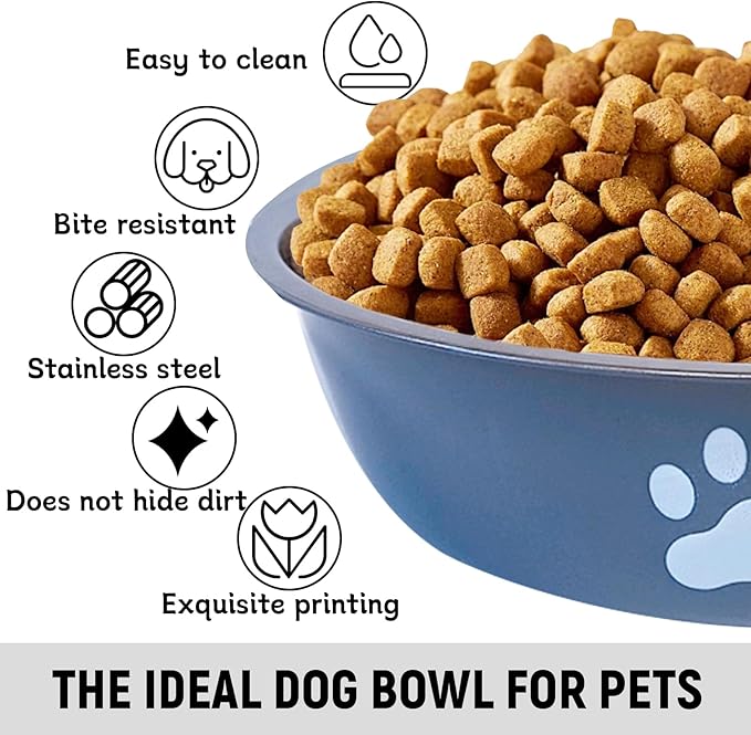 kathson 2 Pack Stainless Steel Dog Bowls,6" Spill Proof Metal Dog Food Bowls,Nonslip Rubber Bottom Pet Food and Water Bowl Set,Puppy Dishes Feeder for Medium Small Dogs,Grey