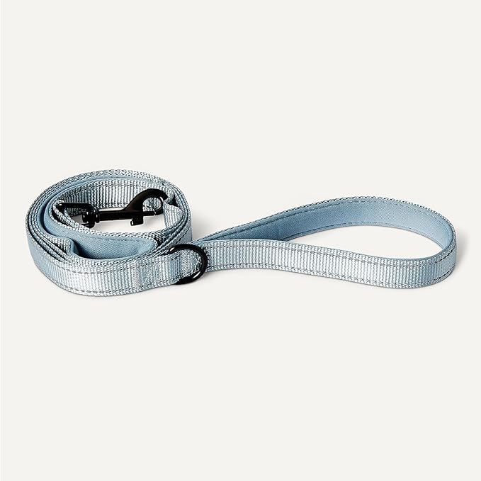 Amazon Basics Reflective Dog Leash with Dual-Padded Handles and D Ring, 6ft