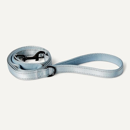 Amazon Basics Reflective Dog Leash with Dual-Padded Handles and D Ring, 6ft