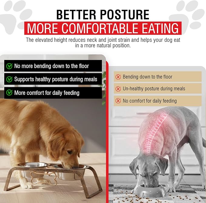 Loving Pets Elevated Dog Bowls – Raised Stainless Steel Dog Bowls with Steel Stand – Non-Skid, No Spill Feeder for Small, Medium & Large Dogs – Easy to Clean, Durable Raised Dog Feeding Station