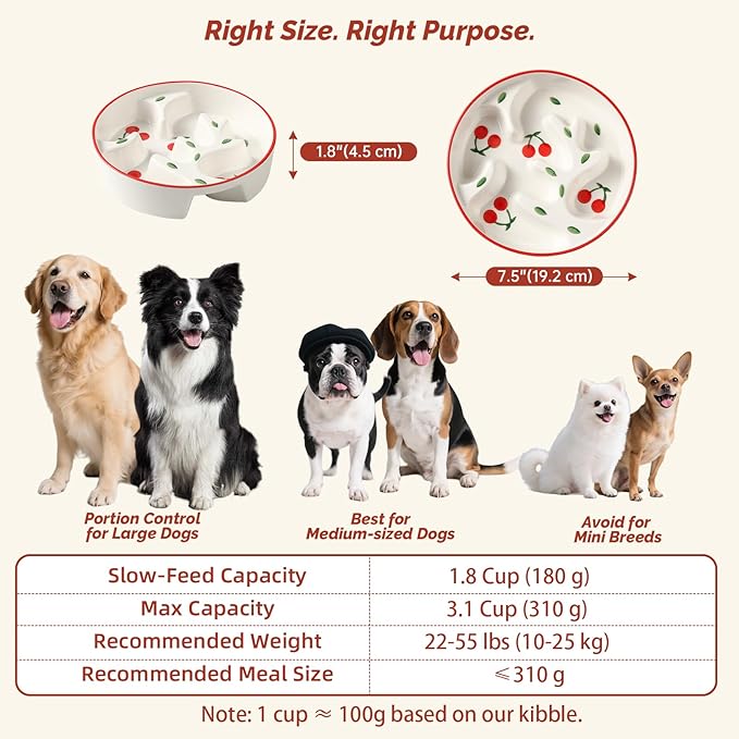Ceramic Slow Feeder Dog Bowl - Portion Control Feeding Bowl for Medium Dogs – Cute Maze Food Dish for Fast Eaters - 3.1 Cups (310 g) - Doodle Series (Cherry)