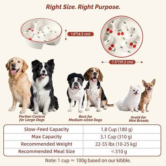 Ceramic Slow Feeder Dog Bowl - Portion Control Feeding Bowl for Medium Dogs – Cute Maze Food Dish for Fast Eaters - 3.1 Cups (310 g) - Doodle Series (Cherry)