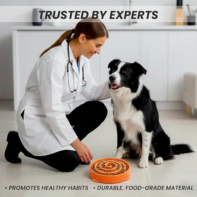 Slow Feeder Dog Bowl for Small, Medium & Large Dogs – Anti-Gulping Puzzle Maze Bowl, Non-Slip Slow Eating Dog Dish, Prevents Bloat & Improves Digestion, Interactive Pet Feeder (Orange, Large)