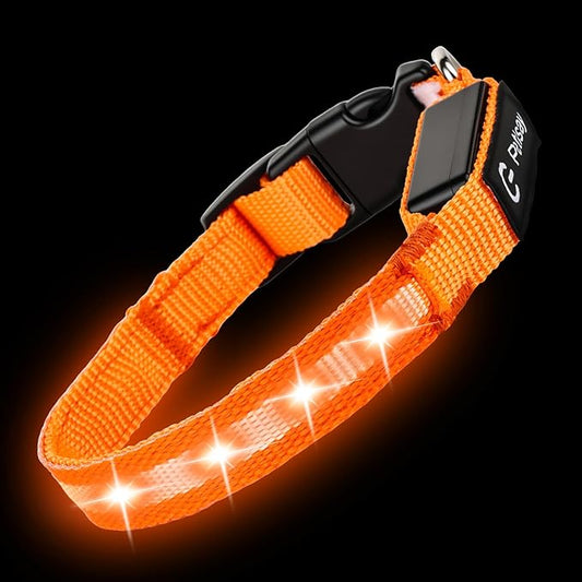 LED Dog Collar for Small Dogs Cats - Fully Waterproof & Adjustable Glow Collar - USB-C Rechargeable for Night Walking, Safety - Flashing Lighted Collar for Dogs(Orange,S)