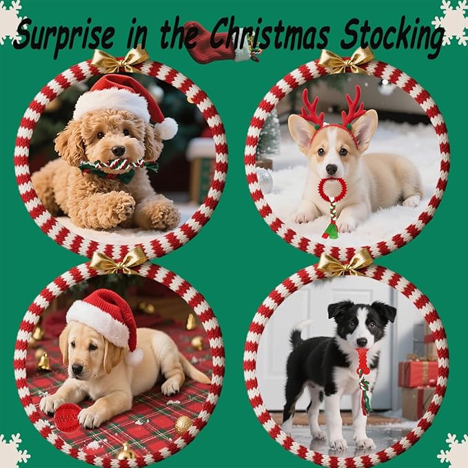 Dog Toys 15 Pack for Teeth Cleaning and Fun, Puppy Teething Chew Toy with Gift Box, Variety Tug Rope Balls & Rubber Rings Bulk for Puppies