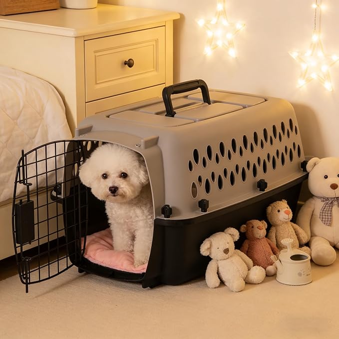 Hard-Sided Pet Travel Carrier (19" L×12.3" W×10.8" H) - Black & Grey, Metal Door, Durable Kennel for Dogs up to 10 lbs, Portable for Trips & Home Use