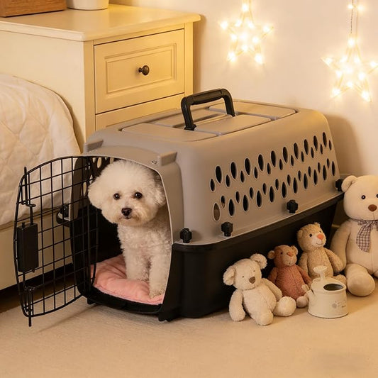 Hard-Sided Pet Travel Carrier (19" L×12.3" W×10.8" H) - Black & Grey, Metal Door, Durable Kennel for Dogs up to 10 lbs, Portable for Trips & Home Use