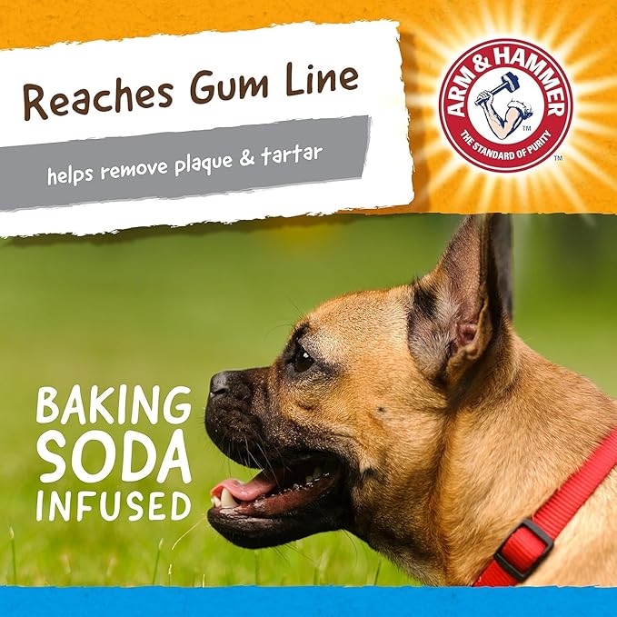 Arm & Hammer for Pets Nubbies Dental Toys, Gator - Dental Chew Toy for Dogs for Moderate Chewers - Reduces Plaque & Tartar Buildup Without Brushing - 2 Pack