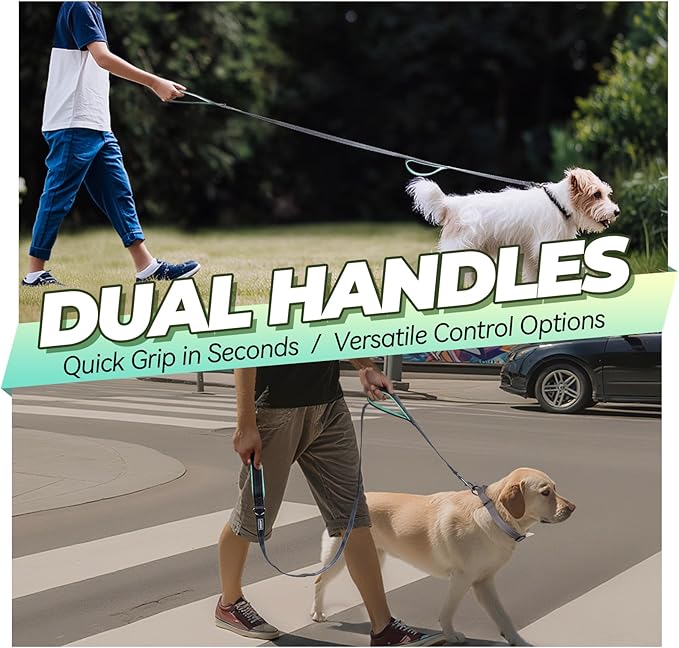 VIVAGLORY Dog Leash Twingrip Double Handle Dog Leash with Traffic Handle Control & 2 Loop for Walking & Training, Reflective Heavy Duty for Puppy Pet Collar, 4ft x 1in, Grey