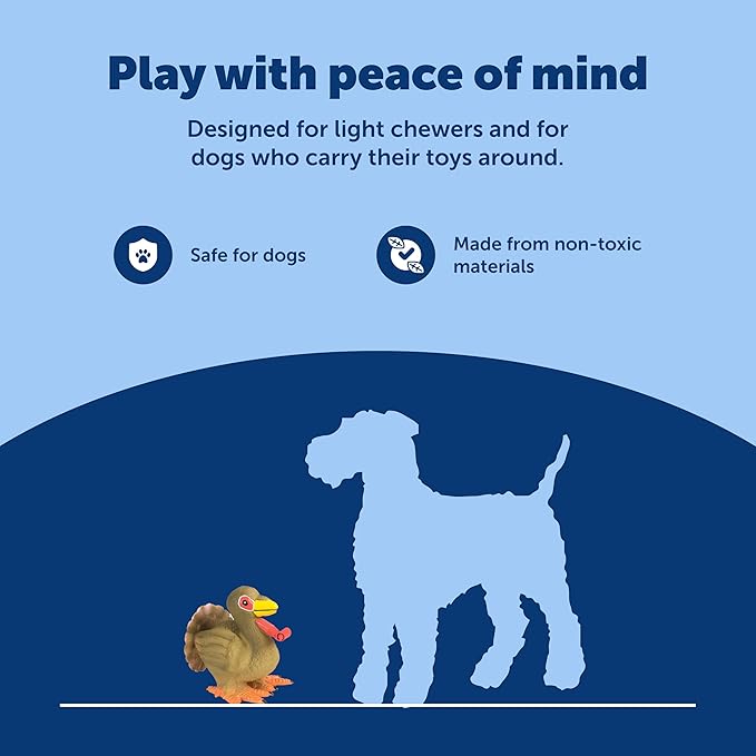 PetSafe Busy Buddy Squeeze Meeze - Fun Latex Dog Toy with Squeaker - for Light Chewers - Turkey