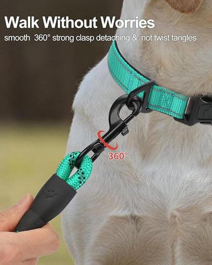 Joytale Dog Leash for Small Dogs, Heavy Duty Nylon Leashes with Comfortable Padded Handle and Highly Reflective Threads, Ideal for Walking and Training, Teal, 5'×3/8''