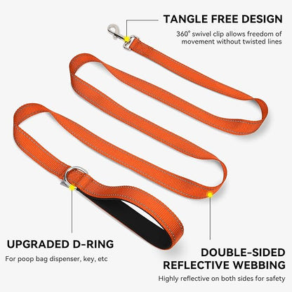 Joytale Dog Leash, 4 FT Double-Sided Reflective, Padded Handle Nylon Heavy Duty Leashes for Small Dogs Walking, Orange