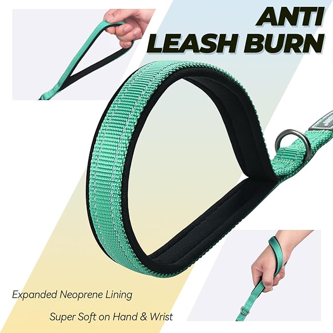 VIVAGLORY Dog Leash Twingrip Double Handle Dog Leash with Traffic Handle Control & 2 Loop for Walking & Training, Reflective Heavy Duty for Puppy Pet Collar, 6ft x 1/2in, Turquoise