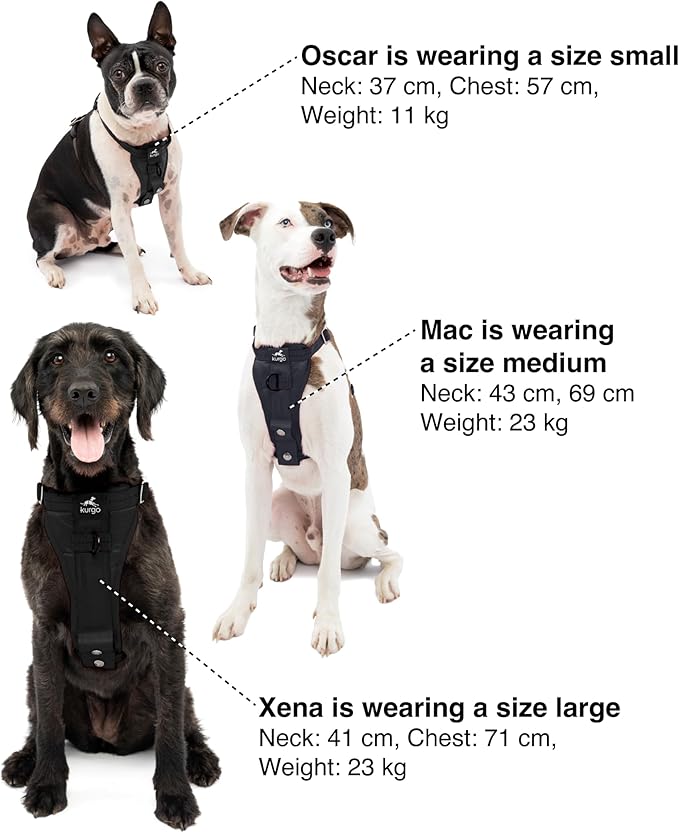 Kurgo Enhanced Strength Tru-Fit Dog Car Harness - Pet Travel Safety Harness - Crash Test Certified Fit - Five Point Adjustment - Secure Buckle - Padded Chest - Black - Large