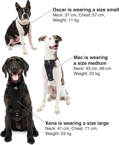 Kurgo Enhanced Strength Tru-Fit Dog Car Harness - Pet Travel Safety Harness - Crash Test Certified Fit - Five Point Adjustment - Secure Buckle - Padded Chest - Black - Large