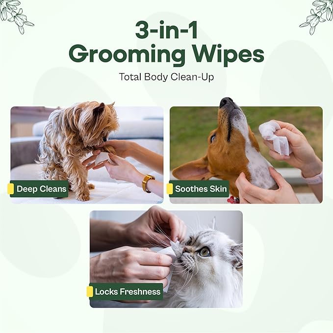 Pawsi Pet Wipes for Dogs and Cats, Hypoallergenic Grooming Wipes for Paws, Body and Butt, Cleaning and Hydrating, Lavender Scented, 2 Pack (100 Wipes Each, 200 Total)